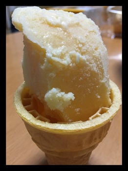 アイスクリーム作り９.jpg